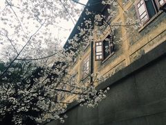 -武汉大学-樱园