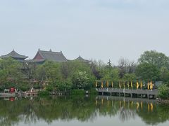 -大槐树寻根祭祖园