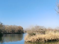 -溱湖国家湿地公园