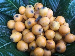 -塘栖枇杷特色园区