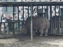 -哈尔滨北方森林动物园