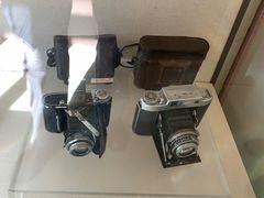 -北京动物园-畅观楼