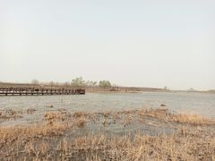 -西青郊野公园