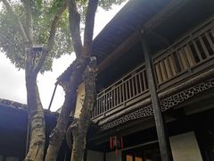 -绍兴鲁迅故里·沈园景区