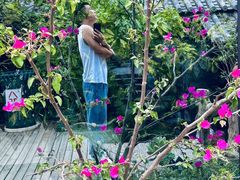 -苍山世界地质公园·石门关大峡谷