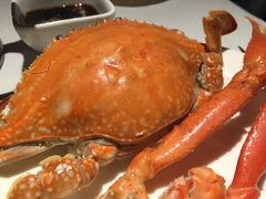 -星伦多 自助料理(圆融店)
