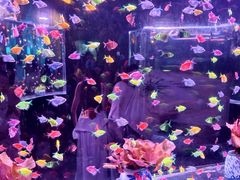 -南昌融创海世界