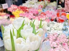 -循礼门鲜花花市(武汉循礼门店)