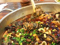 -黑竹香鸡(营和巷店)