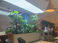 -悦海·家宴·冰花皮皮虾大锅贴(宝龙店)