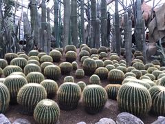 -南山植物园