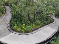 -圣淘沙天际线斜坡滑车