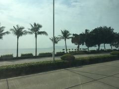 -野狸岛