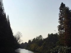 -上海怡沁园度假酒店