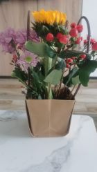 -莲芯花月子会所