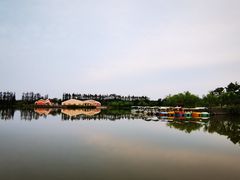 -上海长兴岛郊野公园