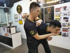 -温鉴良实用咏春拳