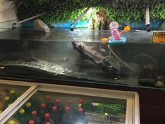 -王红军龙虾(新民路店)