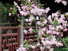 -浙江省博物馆(孤山馆区)