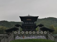 -大唐贡茶院