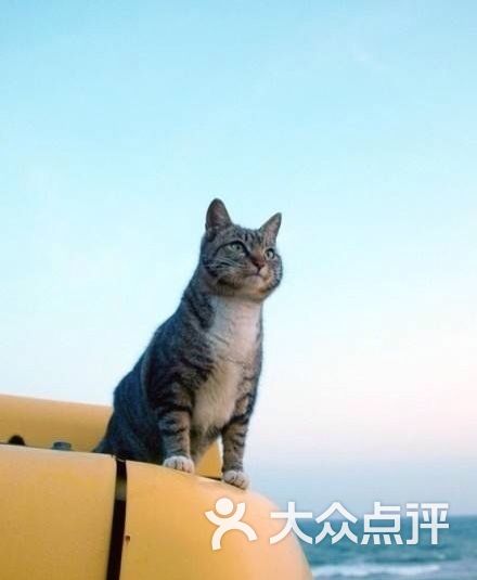 新疆餐厅(田林店)                 i绿花藤           elaine820121