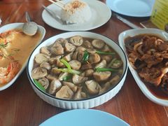 -Kat's Kitchen