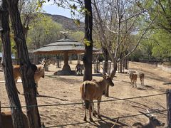 -石家庄市动物园