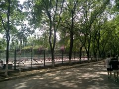 -陕西师范大学(雁塔校区)