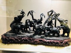 -河南自然博物馆