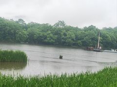 -大九湖