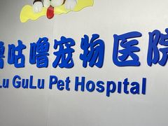 -咕噜咕噜宠物医院·CT·肿瘤科·骨科(前海院)