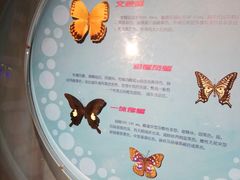 -萌宠奇缘