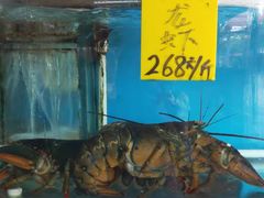 -崖口红树林海鲜餐厅