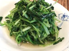 清炒鸡毛菜-四季民福烤鸭店(前门廊房二条店)