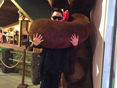 -济州岛泰迪熊博物馆