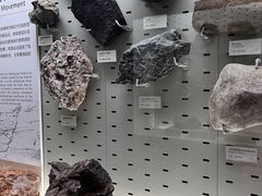 -浙江自然博物院(杭州馆)