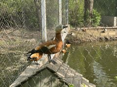 -沈阳鸟岛