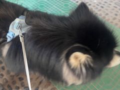 -安吉龙王山峡谷漂流