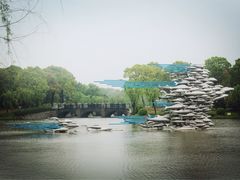 -上海鲜花港