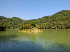 -广州白江湖森林公园