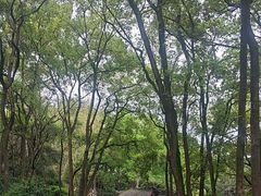-忠山公园