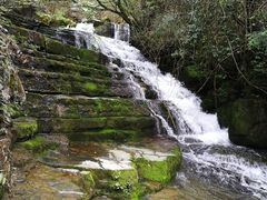 -鹿院坪生态旅游景区