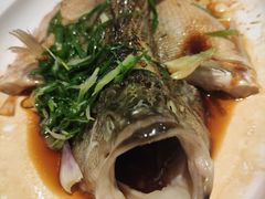清蒸鲈鱼-至潮餐厅精致粤菜·活鲈鱼·走地鸡(珠江新城店)