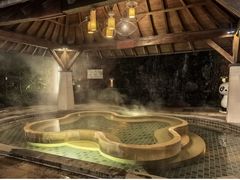 -天目湖涵田半山温泉