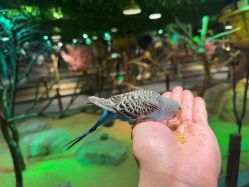 -酷嗒动物文化乐园(cutezoo西溪乐天城店)