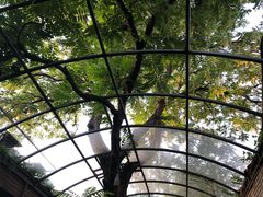 -zarah(鼓楼店)