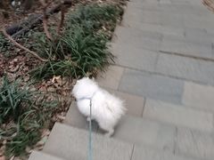 -杭州半山国家森林公园