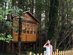 -日照海滨国家森林公园