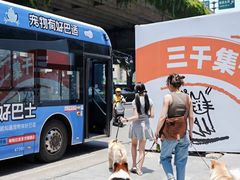 -帕帕拉兹宠物(亚洲旗舰店)