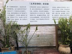 -小洲村